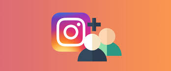 What is the Role of Instagram Followers?