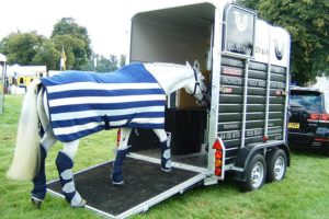 Things to Consider by Horse Owner Before Buying and Shipping Horse Trailer