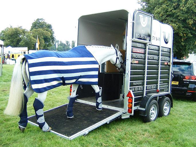 Things to Consider by Horse Owner Before Buying and Shipping Horse Trailer