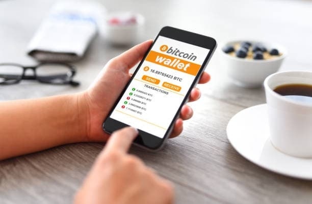 How Dung Beetle Navigation Inspires Privacy Focused Exchange Features